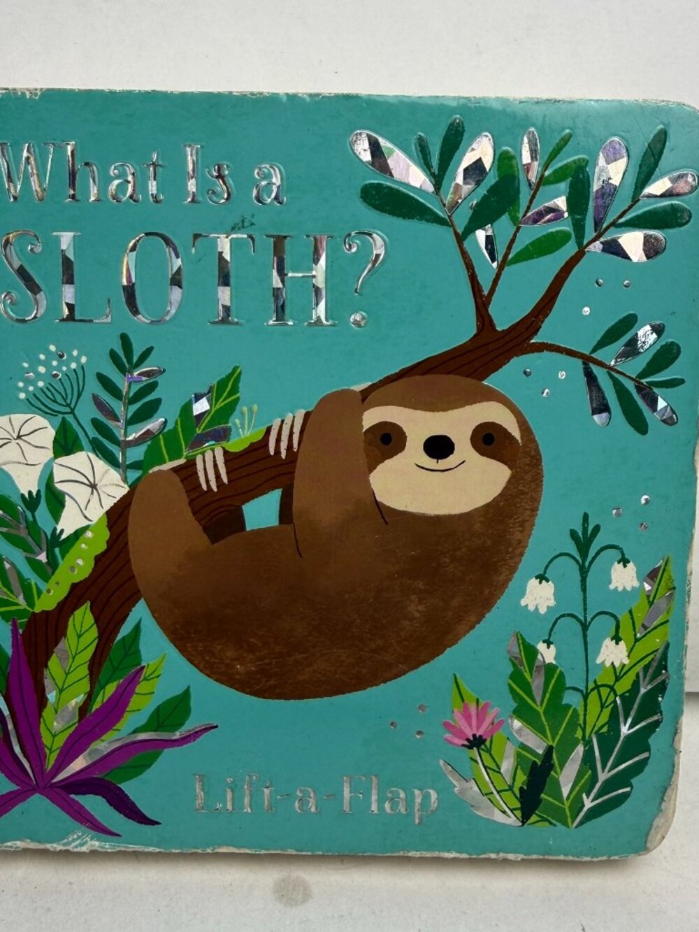 What Is a Sloth? Lift-a-Flap Board Book Ginger Swift ISBN 9781680526332
